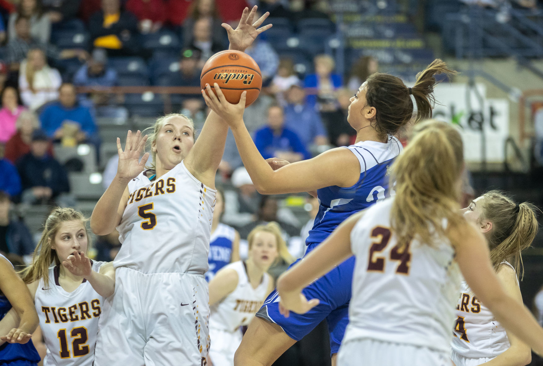 State basketball